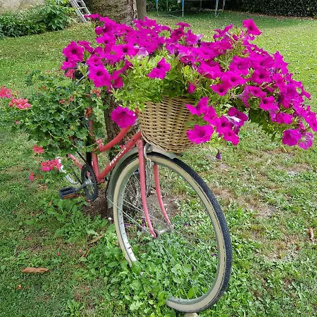 Grange Voutee Avec Jardin * Ман