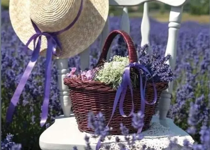 Grange Voutée Avec Jardin *