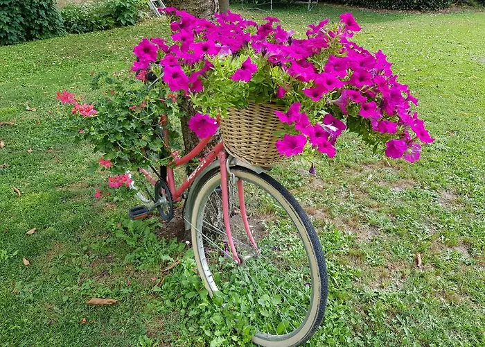 Grange Voutée Avec Jardin * Mane (Alpes-de-Haute-Provence)