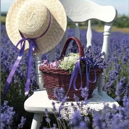 Grange Voutée Avec Jardin *