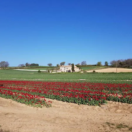 Hébergement de vacances Grange Voutée Avec Jardin *