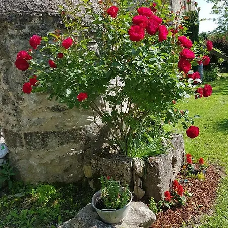 Grange Voutee Avec Jardin Σπίτι διακοπών