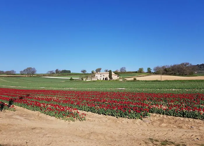 펜션 Grange Voutee Avec Jardin *